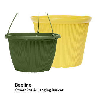 image of Beeline Pot