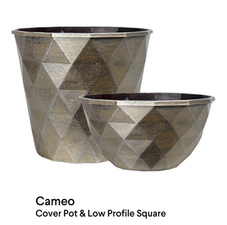 image of Cameo planter