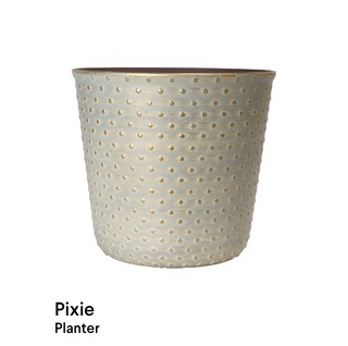 image of Pixie planter