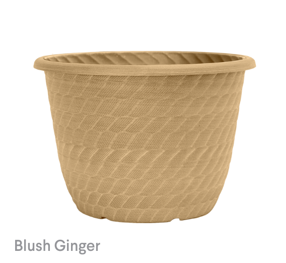 image of Blush Ginger Freeport Bowl