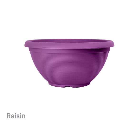 image of Raisin Heliex Bowl