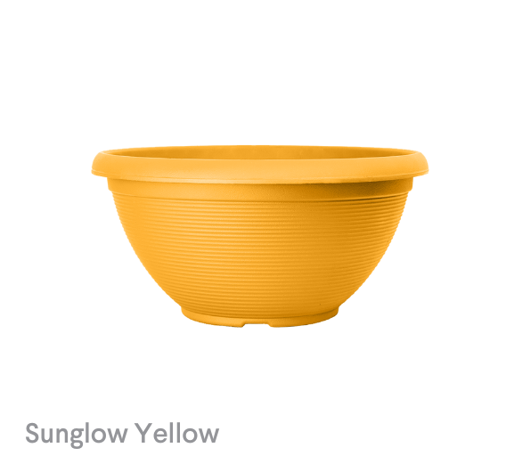 image of Sunglow Yellow Heliex Bowl