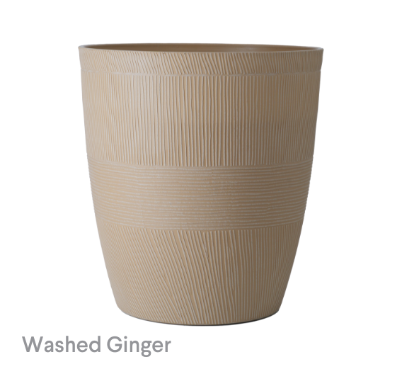 image of Washed Ginger Sandthatch