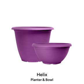 image of Heliex Bowl