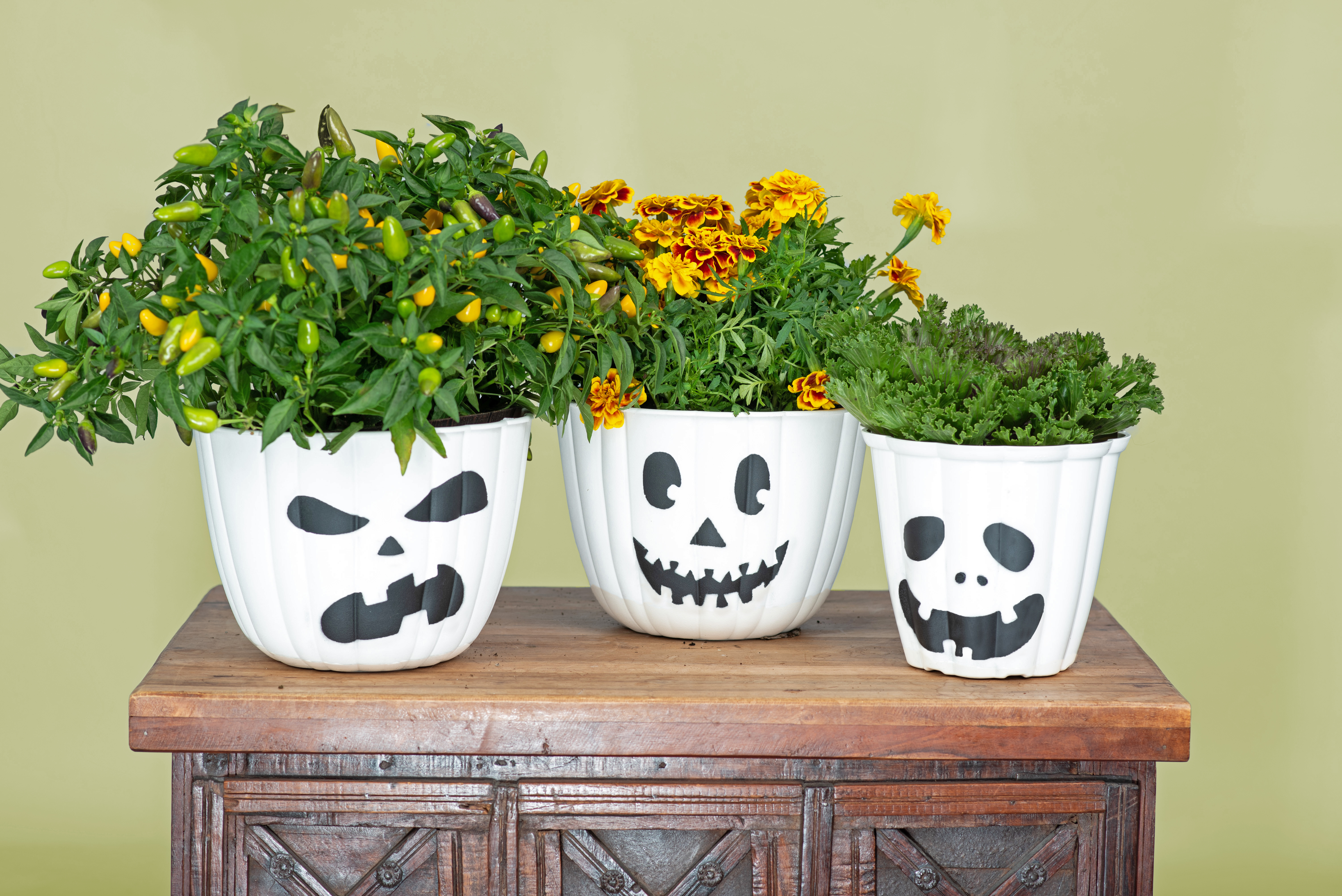 Image of some scary pots