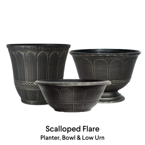image of Scalloped Flare planter