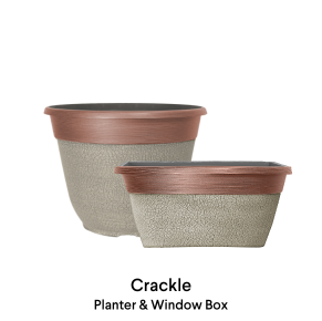 image of crackle Bowl