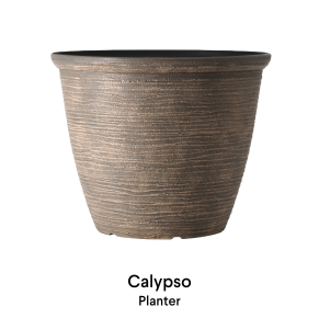 image of Calypso Bowl