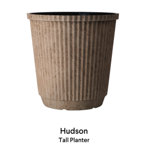 image of Hudson