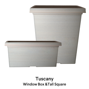 image of Tuscany Bowl