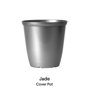 image of Jade Planters
