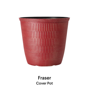 image of Fraser Planters