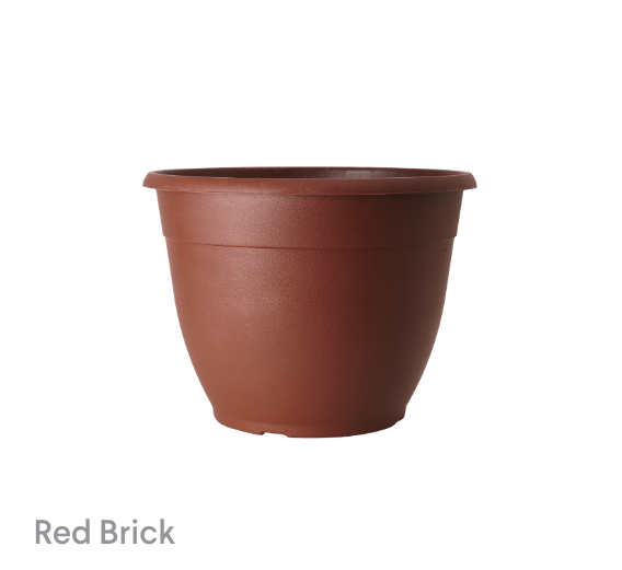 image of Red Brick Bella