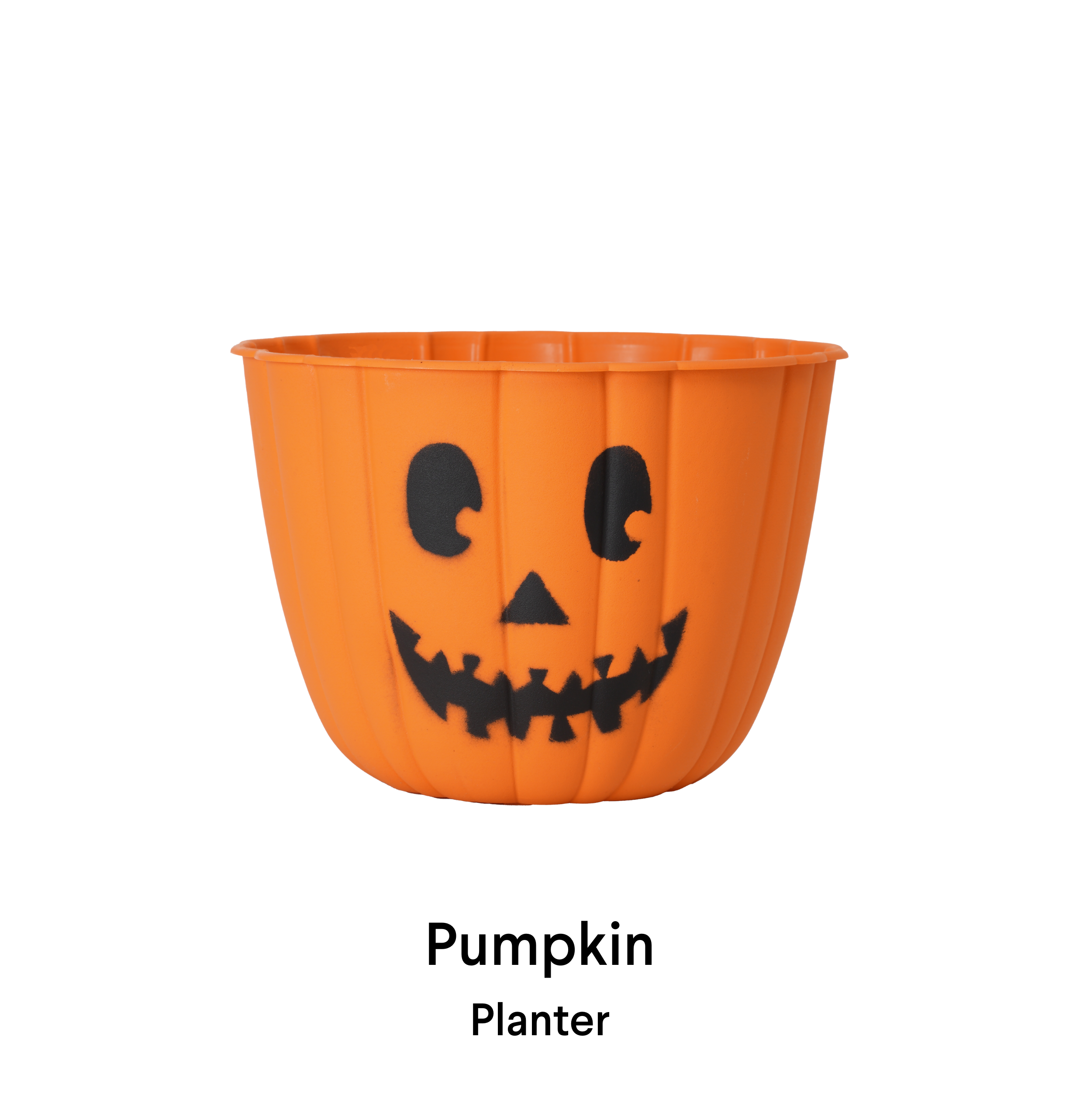 image of pumpkin planter