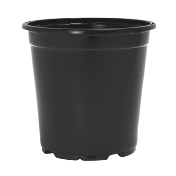 Pot image